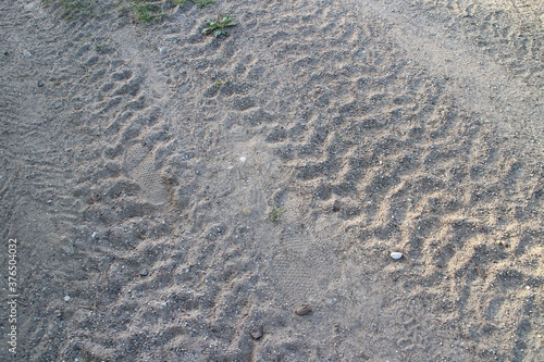 Tire tracks on a sandy road in summer in a village