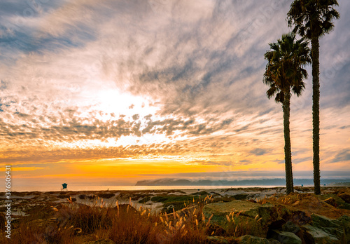 Golden sunset on Coronado Island  San Diego  CA