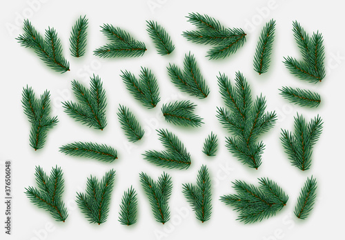 Pine fir branches. Spruce branches realistic. Christmas tree Set isolated on white background. Decorative design elements. Decoration Natural objects. Xmas decor. Vector illustration