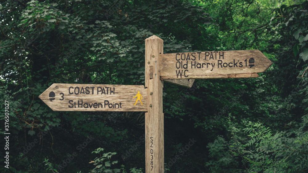 wooden signpost in the woods, Old Harry Rocks, St Haven Point, faded, Dorset, England, Europe