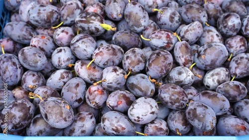plum harvest at the farmers market. concept of healthy and vitamin food