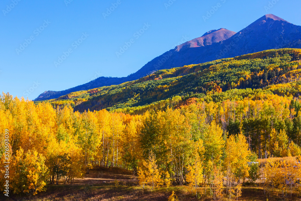 Naklejka premium Autumn in Colorado