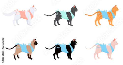 cat in bandage after surgery set. cartoon cats different breeds after neutering isolated on white