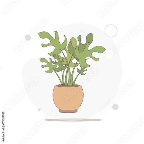 plant in the plantpot. home plant vector flat illustration on white
