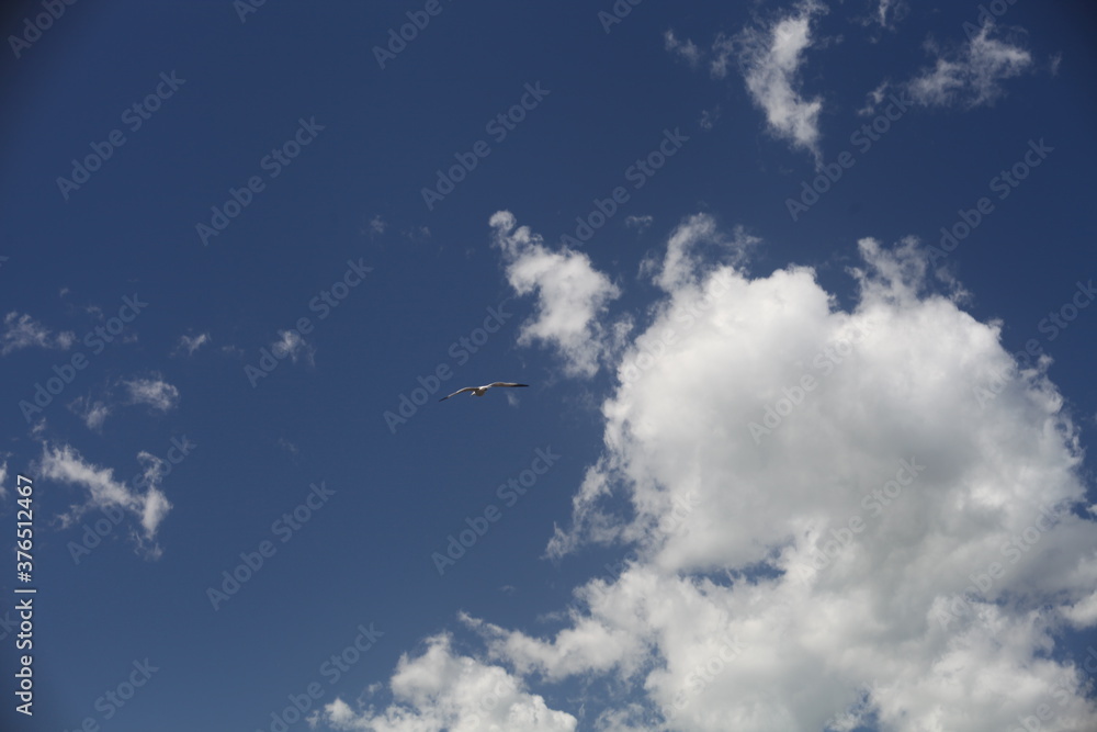 blue sky with clouds
