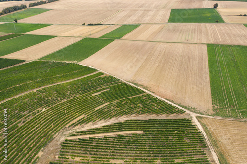 Aerial view of vineyards and grain fields in Udenheim / Germany in Rhineland-Palatinate