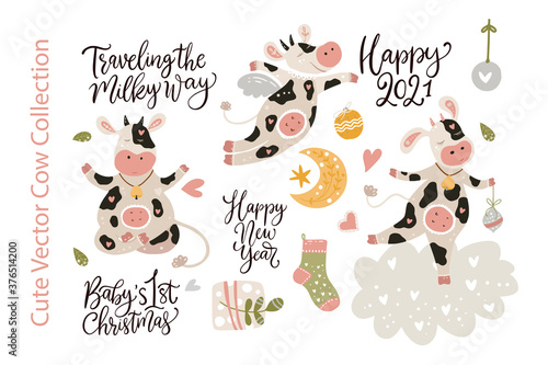 Christmas cute cartoon cow vector clip art set. Animal collection with winter decorations and hand drawn text lettering winter quotes. New Year 2021. 