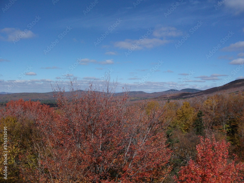 Fototapeta premium fall autumn foliage with hills in the distance