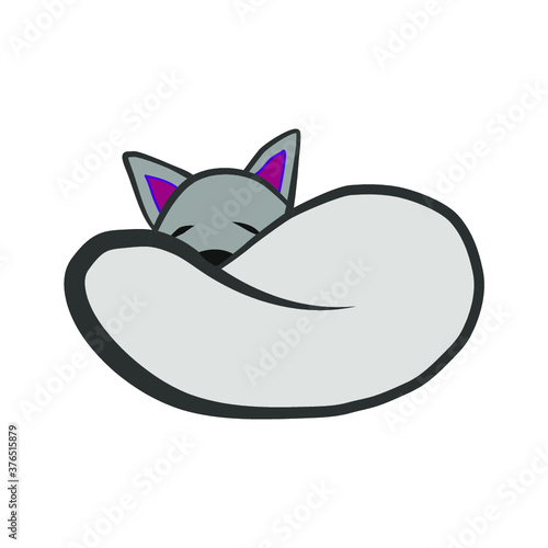  sleeping cat