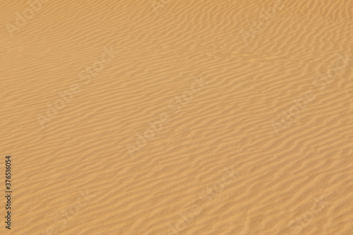 sand texture background, desert