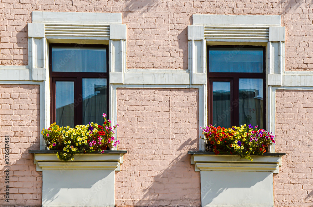 Two narrow windows with blooming flowers on the pale pink brick facade of a multi-story historic building. Urban comfort, decoration of residential buildings with living plants, historical buildings.