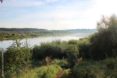 View of the misty river from the morning in summer