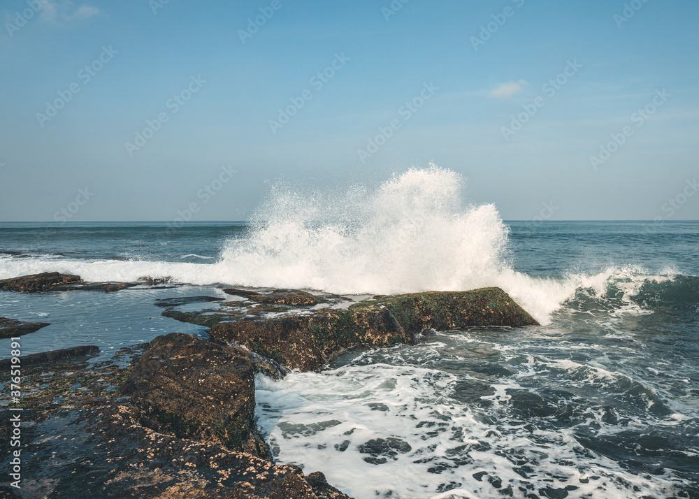 Wilde Natur am Tanah Lot Tempel Indonesien