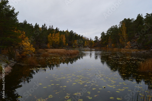 Beautiful yellow, orange and red autumn colors during fall in Sweden