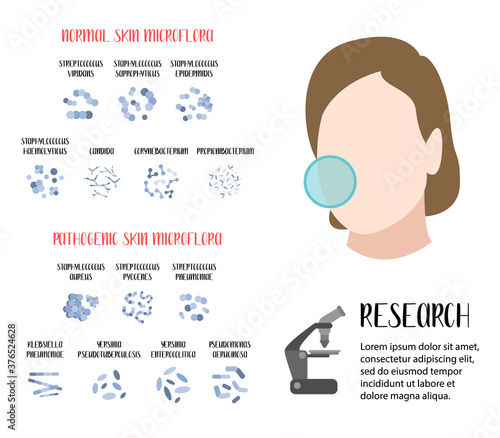 Normal, pathogenic skin microflora. Bacteria. Microbiome. Staphylococcus, Streptococcus, Propionibacterium, Corynebacterium, Candida, Pseudomonas aeruginosa, Yersinia, Klebsiella. Vector flat cartoon