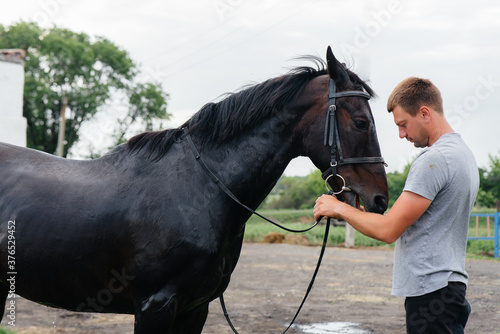 A young man stands and looks at a thoroughbred stallion on the ranch. Animal husbandry and breeding of thoroughbred horses