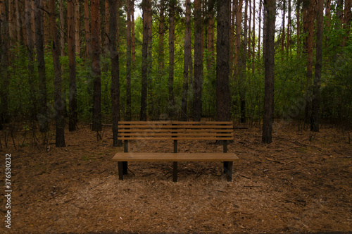 Wooden bench in the park in autumn © vadim yerofeyev