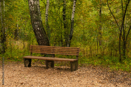 Wooden bench in the park in autumn