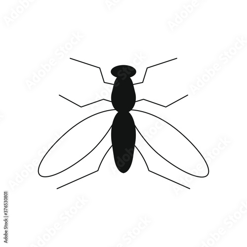Black fly on a white background