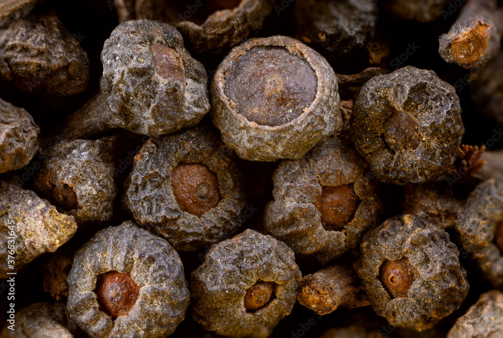super macro shot of of exotic spice cinnamon dryed flowers from Ceylon in details very close. Ideal food and spice background super macro shot of of exotic spice cinnamon dryed flowers from Ceylon in details very close. Ideal food and spice background
