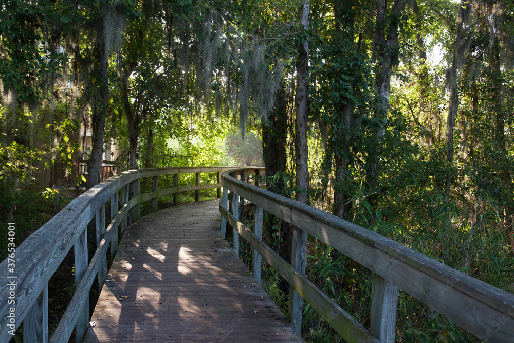 Wooden walkway by Spanish Moss