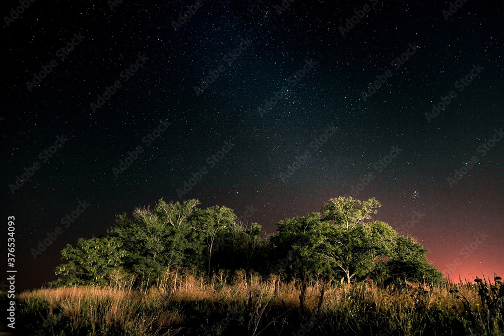 Starry sky and Summer meadow with trees. Summer night. The milky way over the field. Starry sky and Summer meadow with trees. Summer night. The milky way over the field.