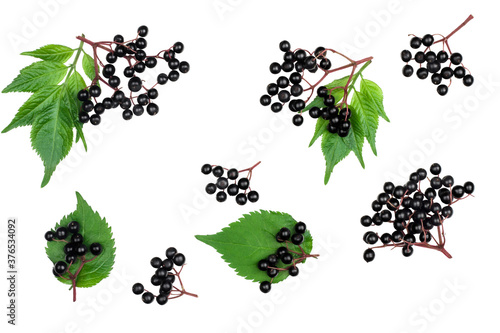 Fotografija Elder berries isolated on white, top view