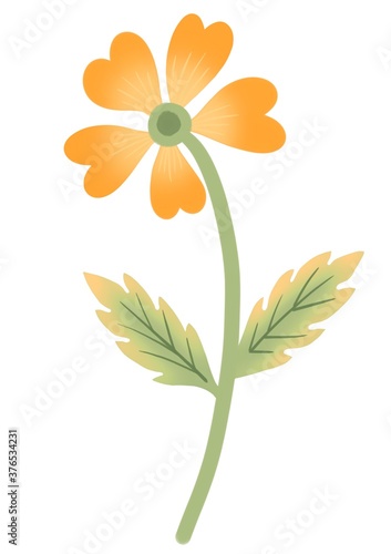 Blooming orange flower element isolated on white.Floral decoration. Flat design. Botanical illustration.