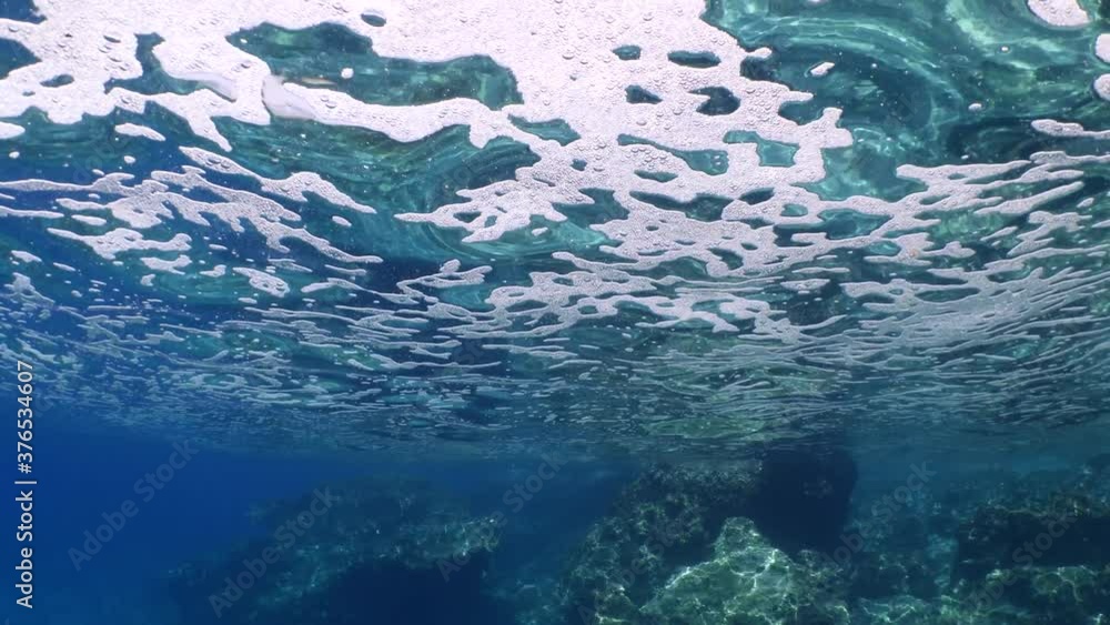 silversides hiding behind secret rocks under sun shine and beams underwater silverside fish school wavy sea protection ocean scenery silversides hiding behind secret rocks under sun shine and beams underwater silverside fish school wavy sea protection ocean scenery