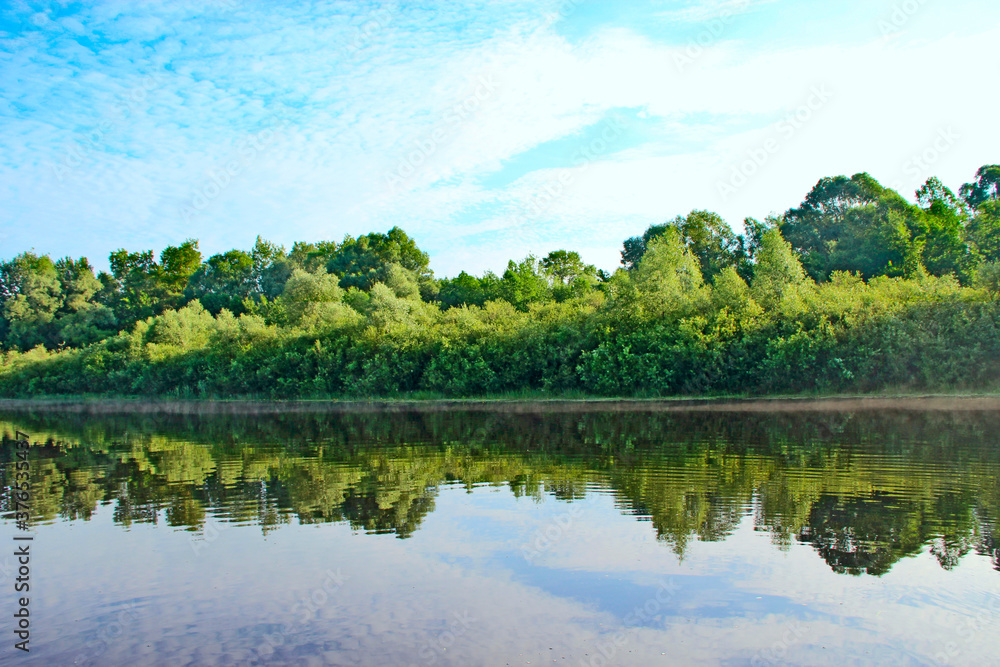 Landscape with river in summer. Trees are reflected in water of river