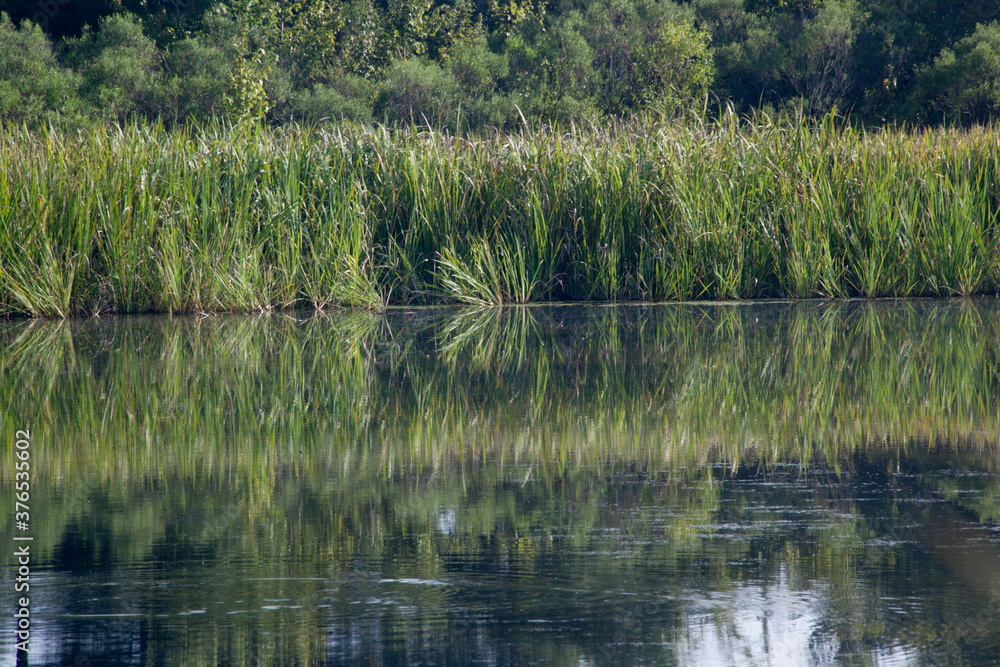 Obraz premium Still lake with reflections