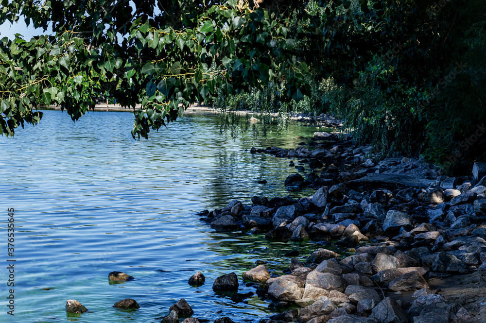 A panorama of smooth water against the background of poplars and willows growing on the coast of the Kakhov reservoir. Beautiful sea background with the ability to insert a large piece of text A panorama of smooth water against the background of poplars and willows growing on the coast of the Kakhov reservoir. Beautiful sea background with the ability to insert a large piece of text