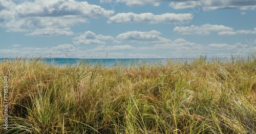 Fototapeta Naklejka Na Ścianę i Meble -  panorama shot of the Baltic Sea beach with dune grass