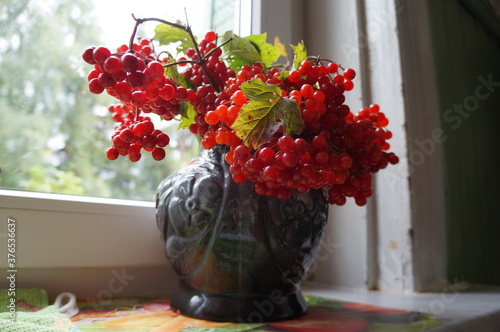 flowers in vase