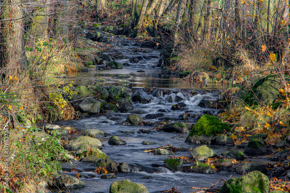 Autumn foliage in the brook at forest. Autumn creek with fallen colorful leaves. The Water cascade in rivulet with rocks. Autumn foliage in the brook at forest. Autumn creek with fallen colorful leaves. The Water cascade in rivulet with rocks.