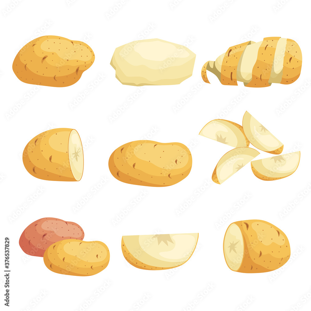 Cartoon potatoes set. Whole, sliced, peeled. Flying slices. Farm fresh vegetables. Best for market, packages. Vector illustrations collection. Isolated on white background. Cartoon potatoes set. Whole, sliced, peeled. Flying slices. Farm fresh vegetables. Best for market, packages. Vector illustrations collection. Isolated on white background.