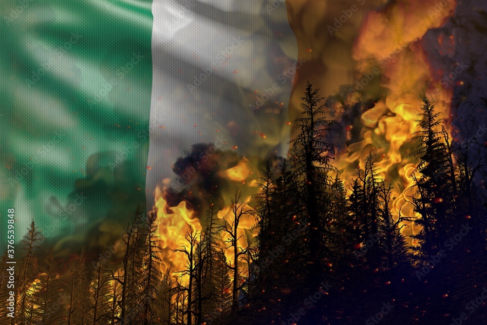 Forest fire natural disaster concept - flaming fire in the woods on Ireland flag background - 3D illustration of nature