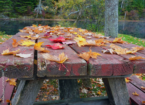 Herbststimmung mit bunten Blättern auf einem alten Holztisch. Dazwischen berühmte rote Ahornblätter. Picknicktisch. Standort: Bancroft, Ontario, Kanada. photo