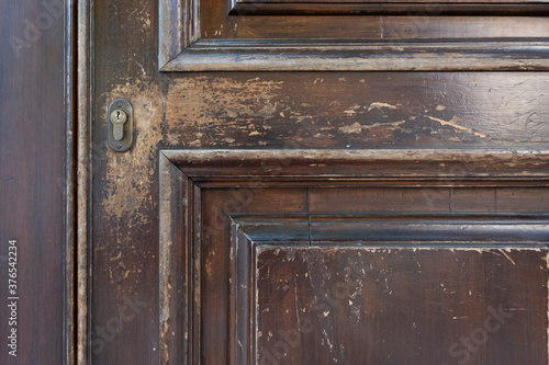 Classic old wooden door with bronze handles in Paris