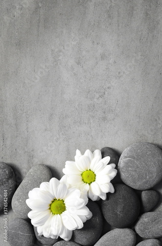 Flat lay composition with spa stones and flower on grey background.