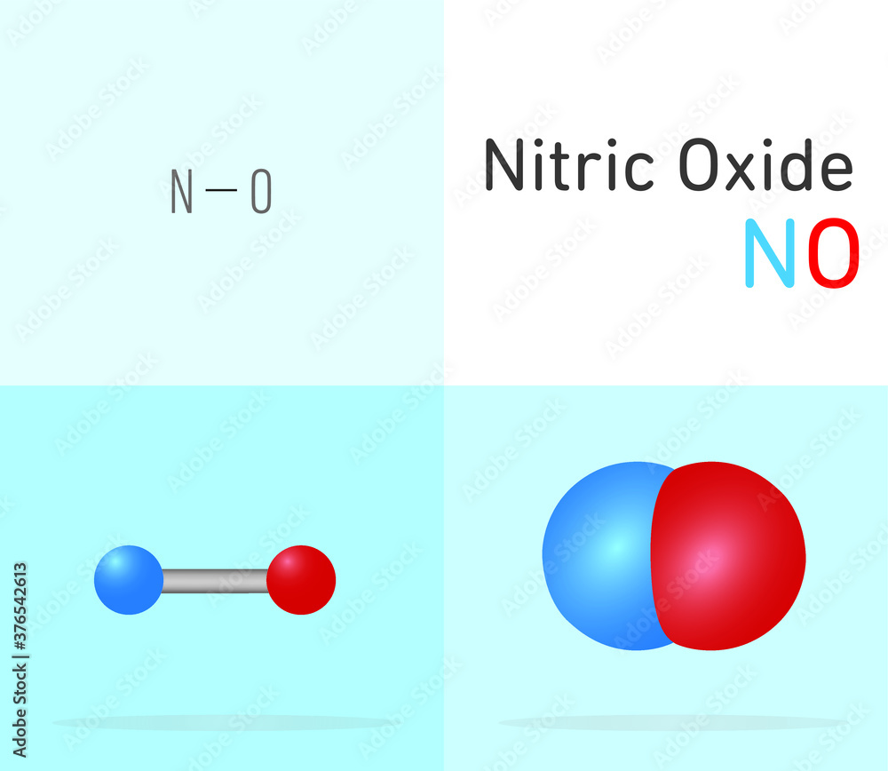 Nitric Oxide (NO) gas molecule. Two different molecule model and