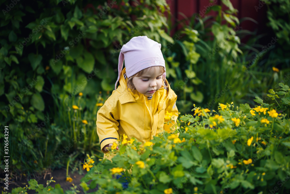 Cute girl in a yellow jacket collects flowers in a meadow. A child stood in the fresh green grass among the spring flowers. A small child makes a bouquet of the first wild yellow flowers Cute girl in a yellow jacket collects flowers in a meadow. A child stood in the fresh green grass among the spring flowers. A small child makes a bouquet of the first wild yellow flowers