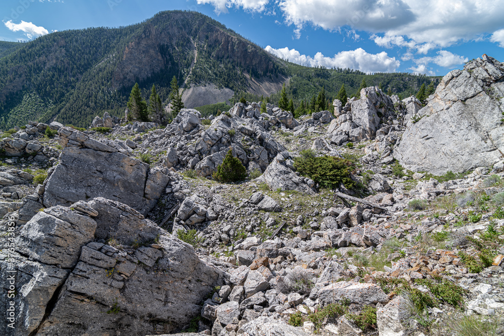 Rock Formations at the Silver Gate, Yellowstone National Park