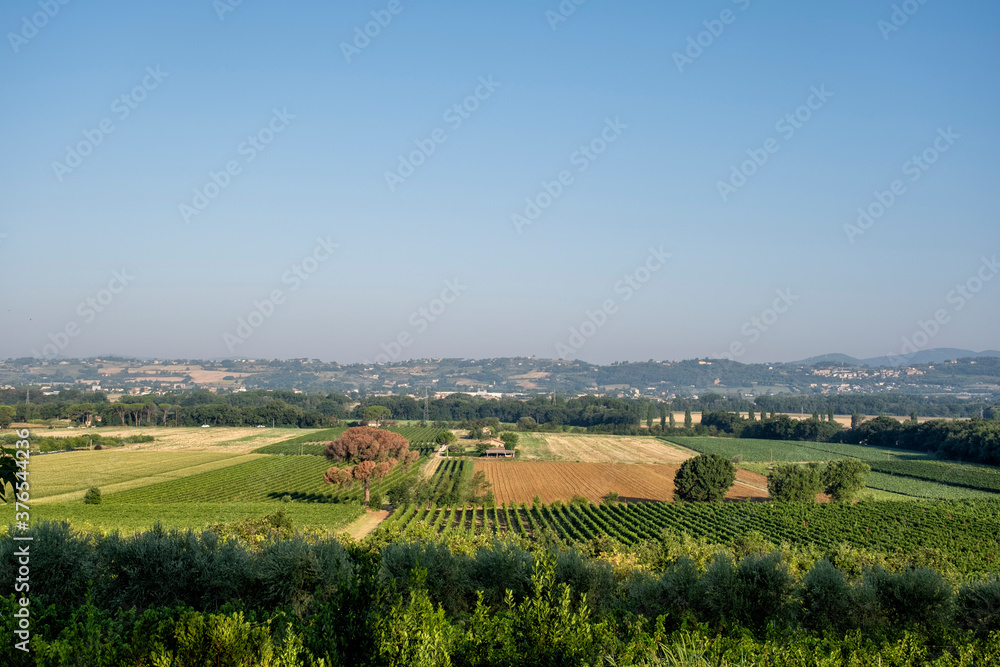 Typical Tuscan landscape with vineyards in Italy