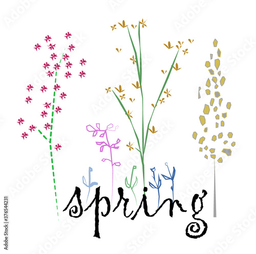 colorful spring flowers