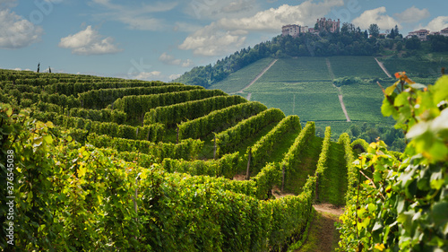 Panorama of Novello with the town and the vineyards. Novello is the main villages of the Langhe wine district, Piedmont, Italy