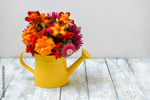 Red and orange autumn flowers in yellow decorative watering can on a white wooden table, against a white wall. Selective focus.