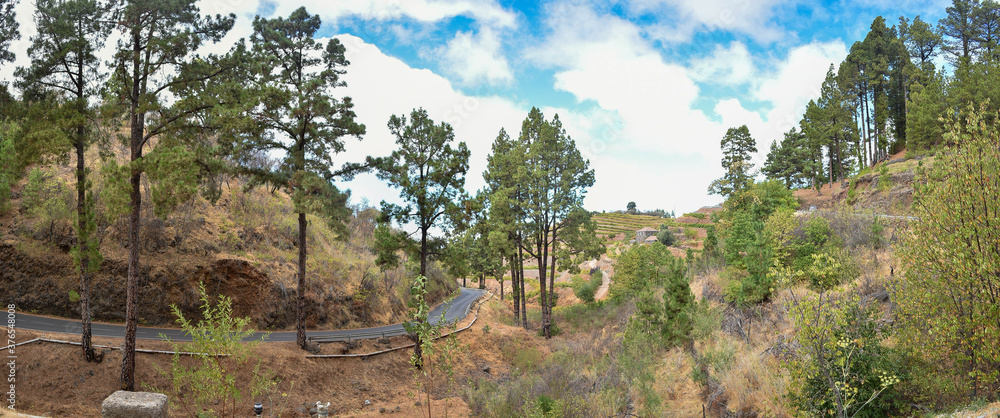 Panorámica de paisaje canario en el municipio de Puntagorda, La Palma, Islas Canarias 
