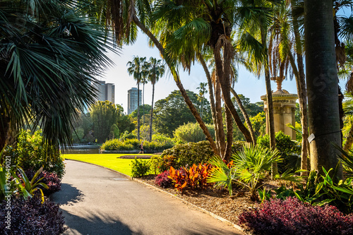 View of the Royal Botanic Garden, Sydney, NSW Australia