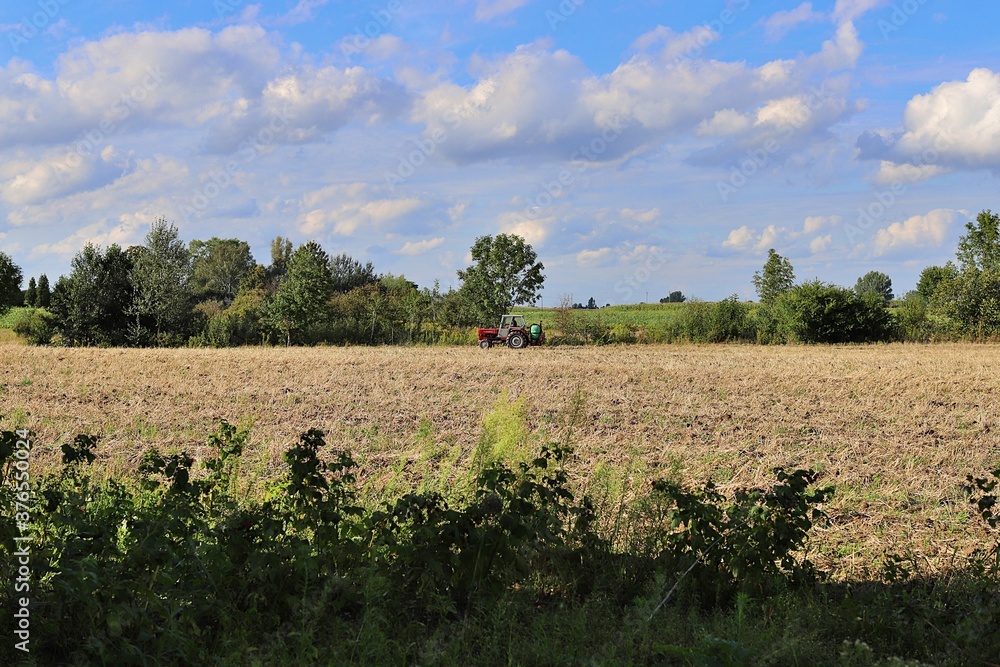 Obraz premium prace polowe